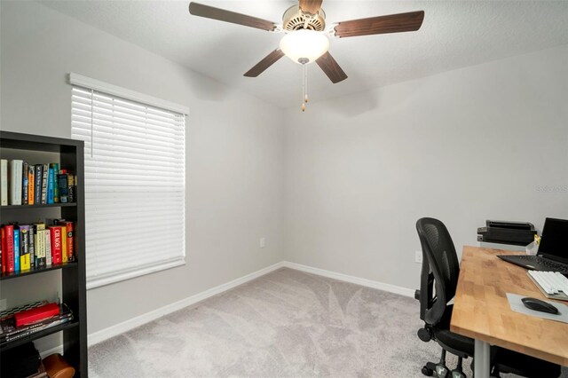 7128 Samuel Ivy Dr, Tampa, FL 33619 - photo 34