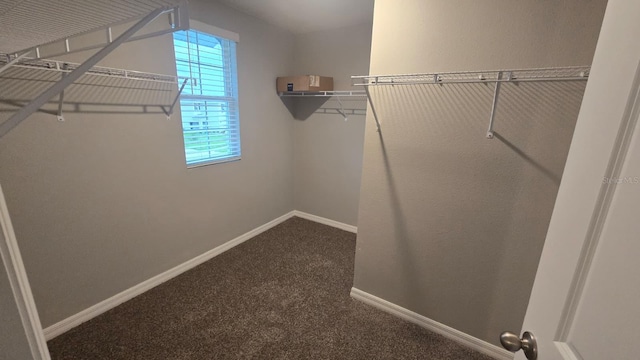 5233 Rocky Coast Pl, Palmetto, FL 34221 - photo 9