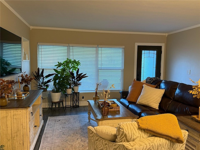 1355 Sage Dr, Dunedin, FL 34698 - photo 7