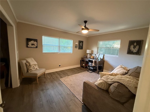 1355 Sage Dr, Dunedin, FL 34698 - photo 22