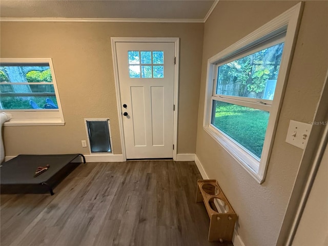 1355 Sage Dr, Dunedin, FL 34698 - photo 27