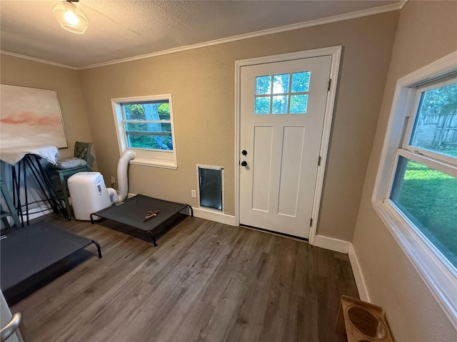 1355 Sage Dr, Dunedin, FL 34698 - photo 28