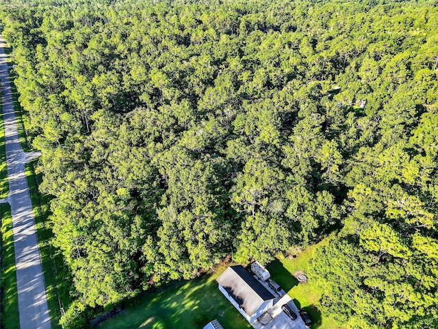 4700 Judy St, Hastings, FL 32145 - photo 2