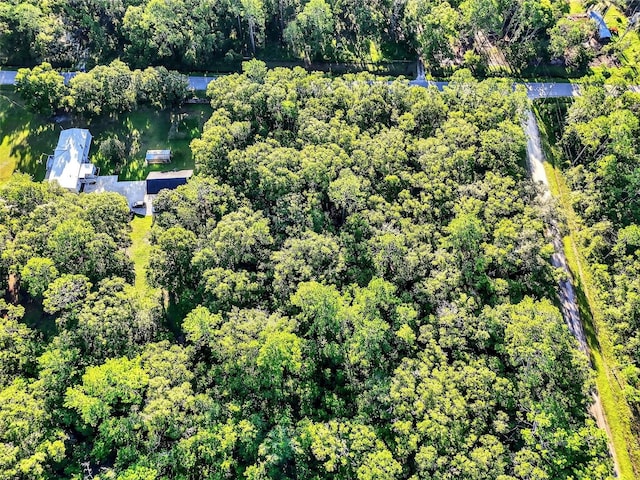 4700 Judy St, Hastings, FL 32145 - photo 8
