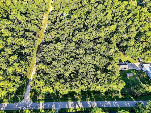 4700 Judy St, Hastings, FL 32145 - photo 10