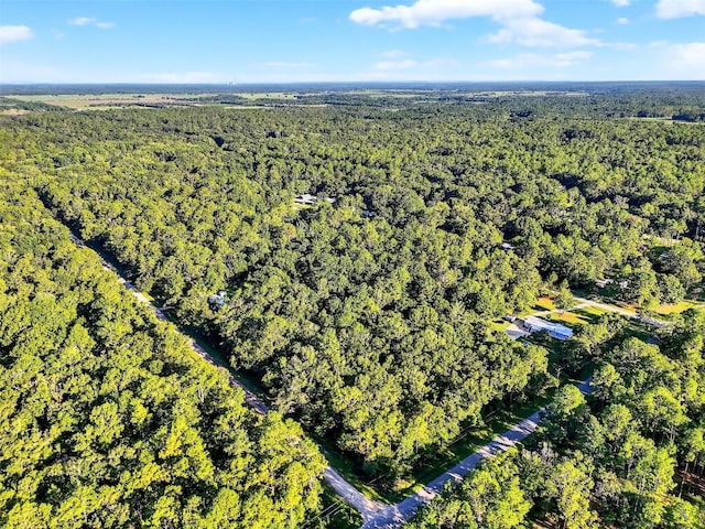 4700 Judy St, Hastings, FL 32145 - photo 11