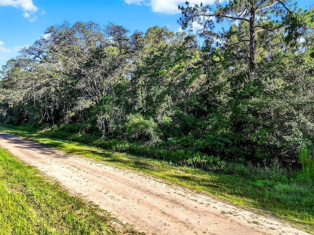 4700 Judy St, Hastings, FL 32145 - photo 12