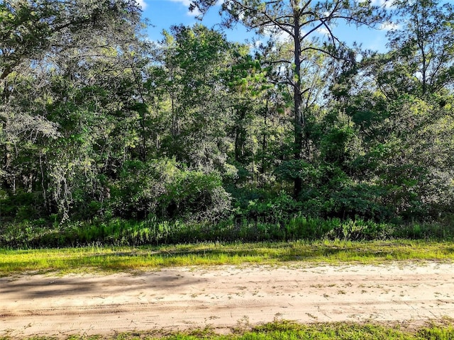 4700 Judy St, Hastings, FL 32145 - photo 13