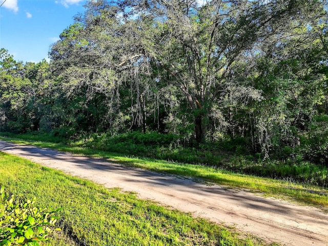 4700 Judy St, Hastings, FL 32145 - photo 14