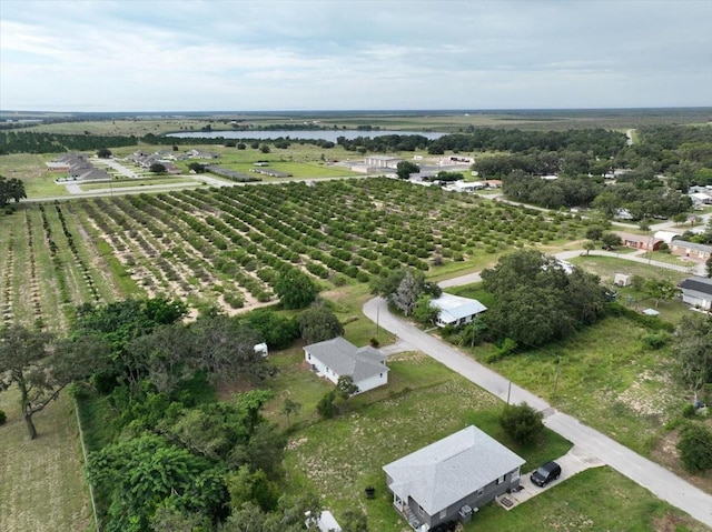 33 Blackjack Ave, Frostproof, FL 33843 - photo 47