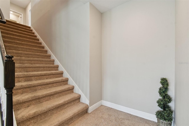 1297 Bering Rd, Wesley Chapel, FL 33543 - photo 17