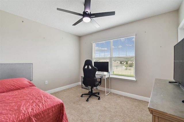 1297 Bering Rd, Wesley Chapel, FL 33543 - photo 20
