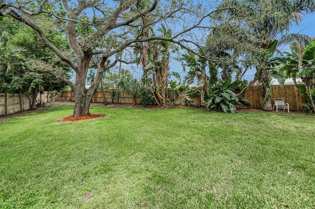 5022 Forest Hills Dr, Holiday, FL 34690 - photo 35