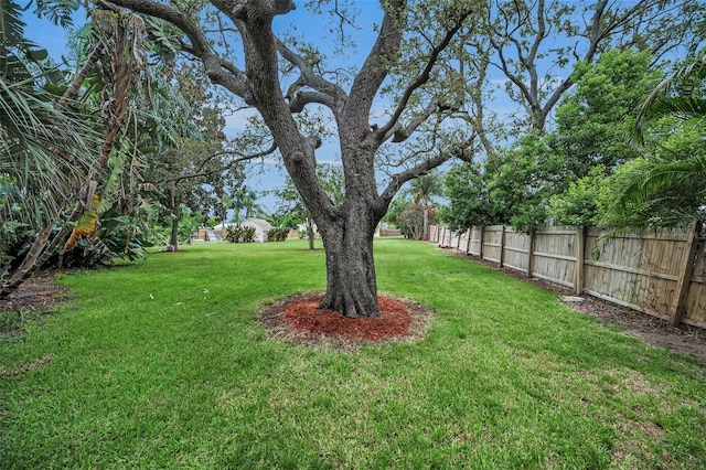 5022 Forest Hills Dr, Holiday, FL 34690 - photo 36