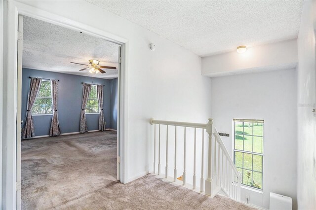 11017 Springridge Dr, Tampa, FL 33624 - photo 20