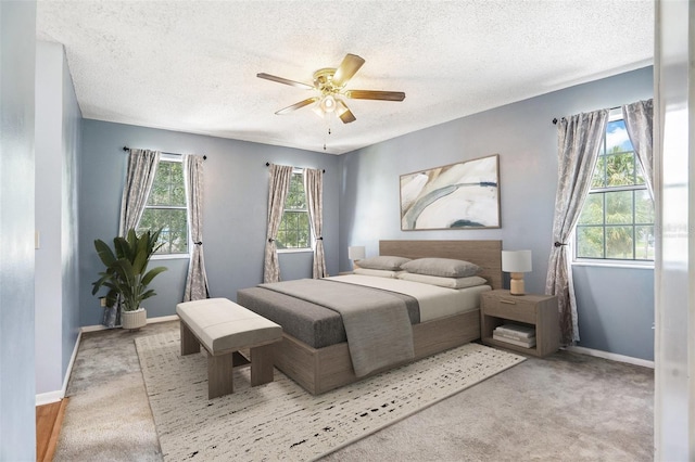 11017 Springridge Dr, Tampa, FL 33624 - photo 21