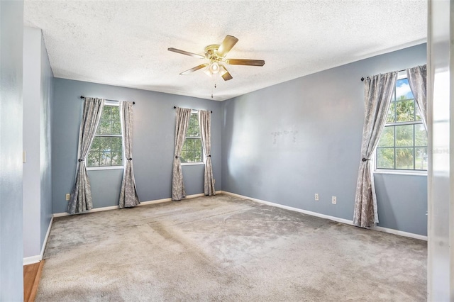 11017 Springridge Dr, Tampa, FL 33624 - photo 22