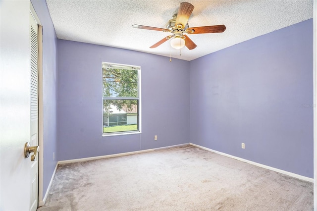 11017 Springridge Dr, Tampa, FL 33624 - photo 27