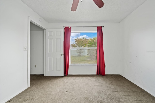 1220 Barmere Ln, Brandon, FL 33511 - photo 14