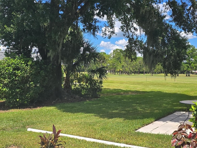 3422 Trophy Blvd, New Port Richey, FL 34655 - photo 22