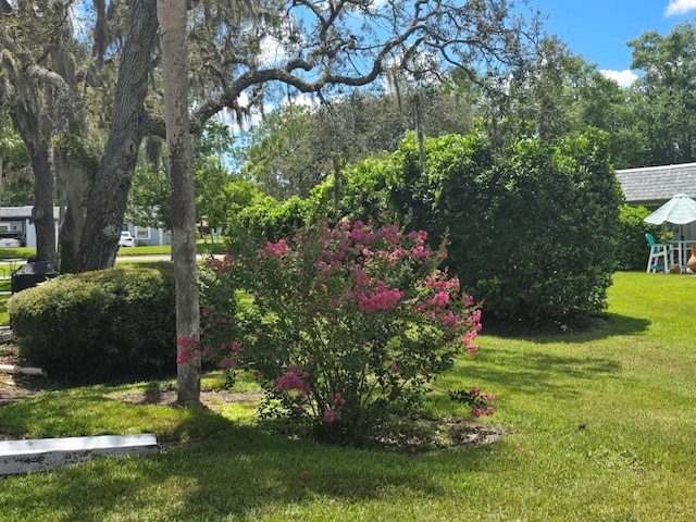 3422 Trophy Blvd, New Port Richey, FL 34655 - photo 23