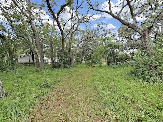 7332 Sealawn Dr, Spring Hill, FL 34606 - photo 30
