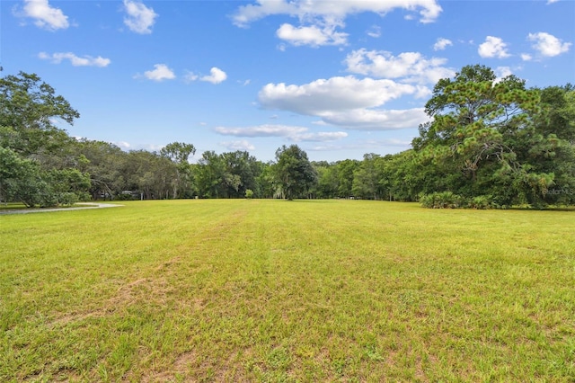 2612 Regal Oaks Ln, Lutz, FL 33559 - photo 2