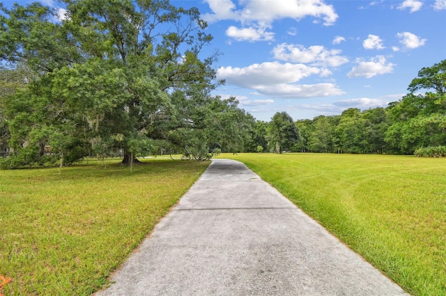 2612 Regal Oaks Ln, Lutz, FL 33559 - photo 3