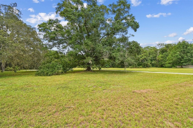 2612 Regal Oaks Ln, Lutz, FL 33559 - photo 5