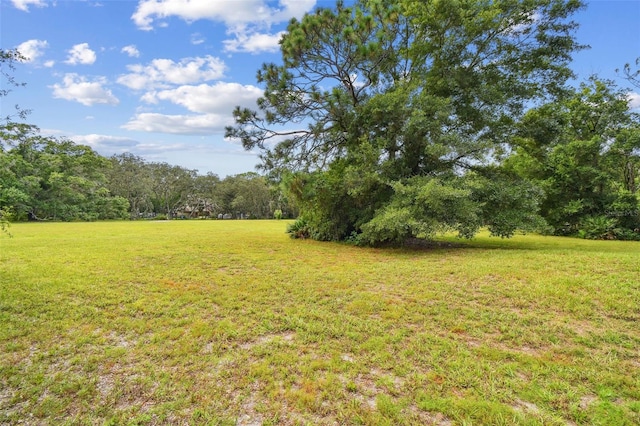 2612 Regal Oaks Ln, Lutz, FL 33559 - photo 6