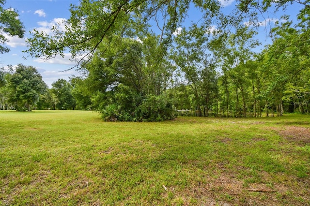2612 Regal Oaks Ln, Lutz, FL 33559 - photo 8