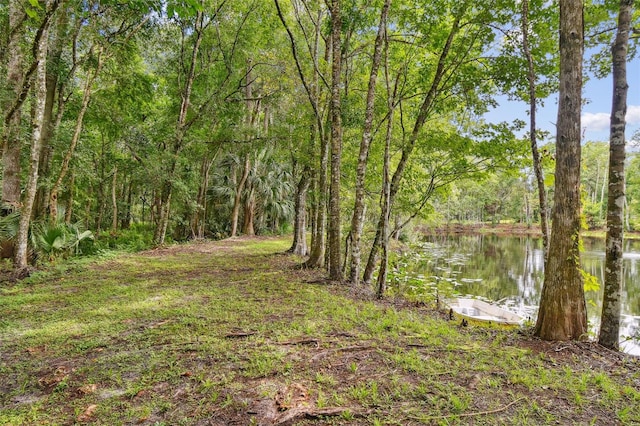 2612 Regal Oaks Ln, Lutz, FL 33559 - photo 12