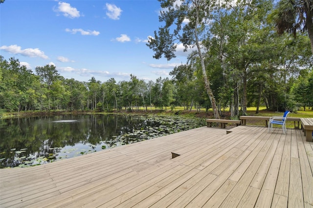 2612 Regal Oaks Ln, Lutz, FL 33559 - photo 16
