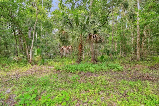 2612 Regal Oaks Ln, Lutz, FL 33559 - photo 19