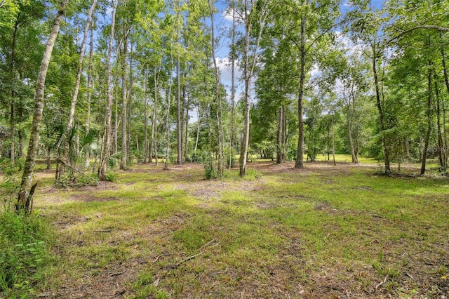 2612 Regal Oaks Ln, Lutz, FL 33559 - photo 21
