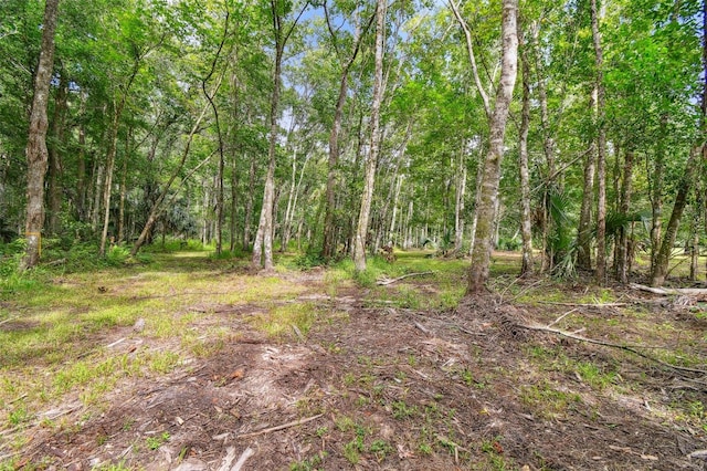 2612 Regal Oaks Ln, Lutz, FL 33559 - photo 22