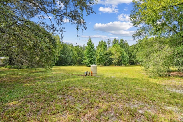 2612 Regal Oaks Ln, Lutz, FL 33559 - photo 25