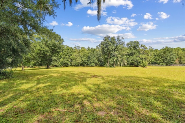 2612 Regal Oaks Ln, Lutz, FL 33559 - photo 26