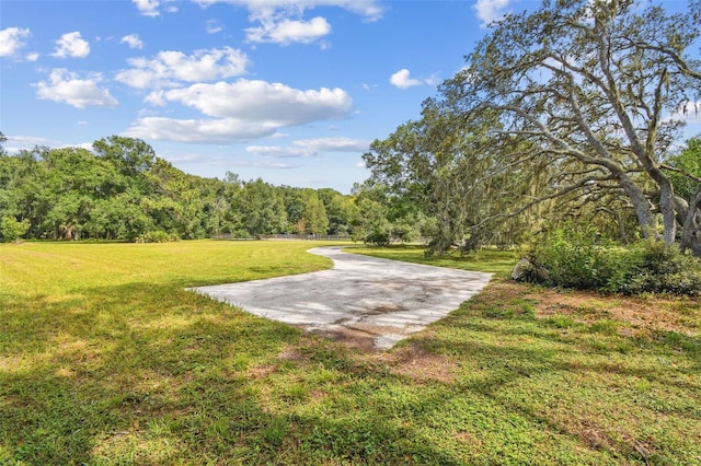 2612 Regal Oaks Ln, Lutz, FL 33559 - photo 29