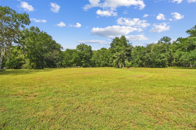 2612 Regal Oaks Ln, Lutz, FL 33559 - photo 30