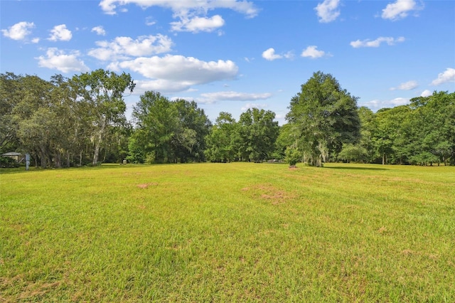 2612 Regal Oaks Ln, Lutz, FL 33559 - photo 31