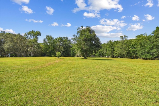 2612 Regal Oaks Ln, Lutz, FL 33559 - photo 32
