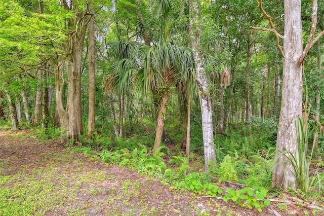 2612 Regal Oaks Ln, Lutz, FL 33559 - photo 33
