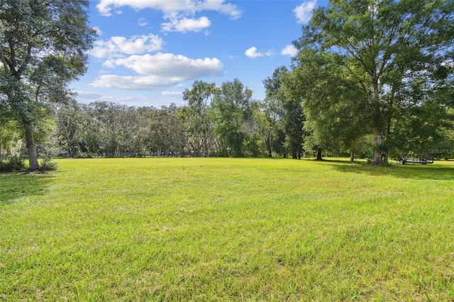2612 Regal Oaks Ln, Lutz, FL 33559 - photo 34