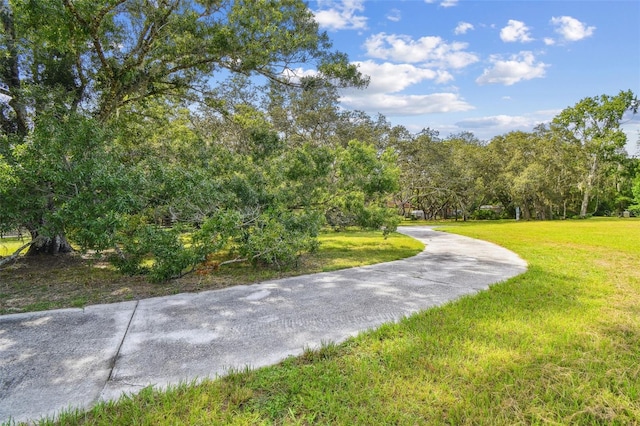 2612 Regal Oaks Ln, Lutz, FL 33559 - photo 37
