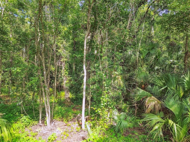 2612 Regal Oaks Ln, Lutz, FL 33559 - photo 40