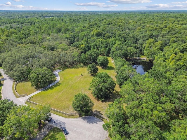 2612 Regal Oaks Ln, Lutz, FL 33559 - photo 41
