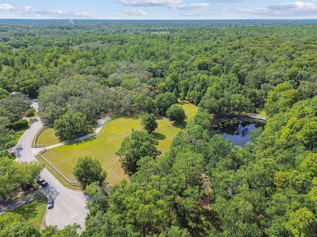 2612 Regal Oaks Ln, Lutz, FL 33559 - photo 42
