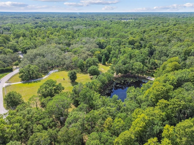 2612 Regal Oaks Ln, Lutz, FL 33559 - photo 43