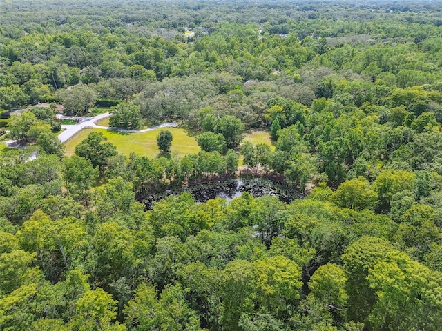2612 Regal Oaks Ln, Lutz, FL 33559 - photo 44